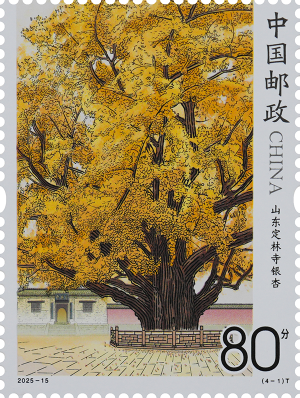 2025-15(4-1)T_单枚.jpg
